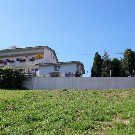 Haus Homann Apartment Зулцберг Екстериор снимка