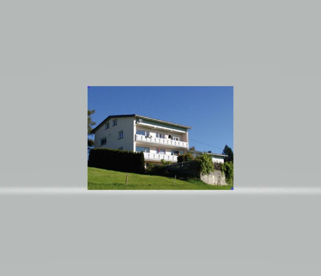 Haus Homann Apartment Зулцберг Екстериор снимка
